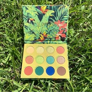 ColourPop Lush Life NEW Palette In Original Packaging